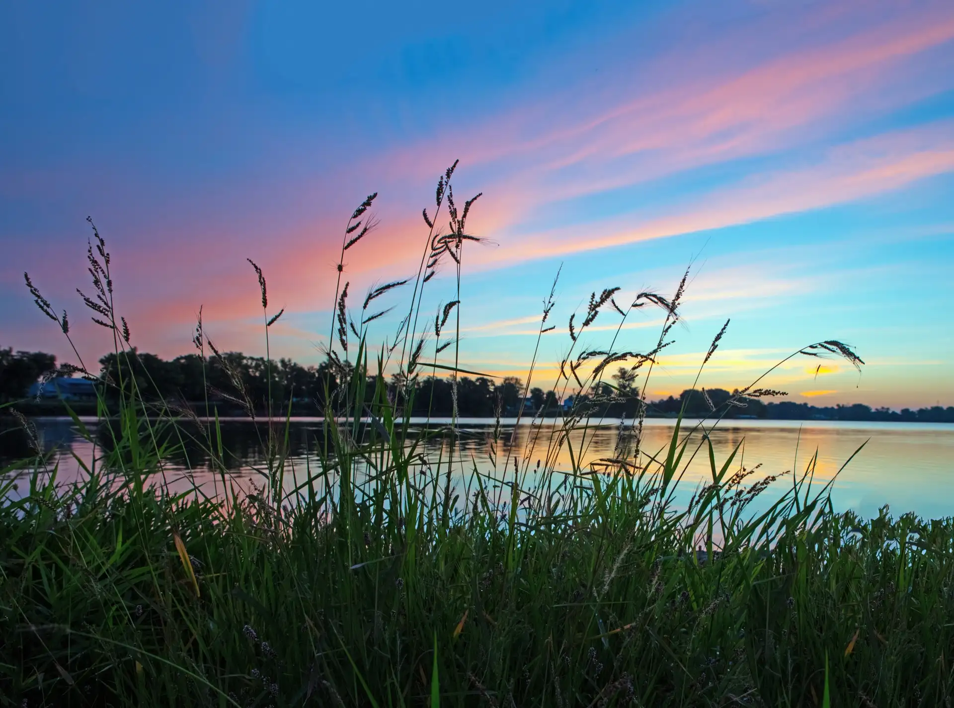 Sunrise over a still lake, seen through tall grass.