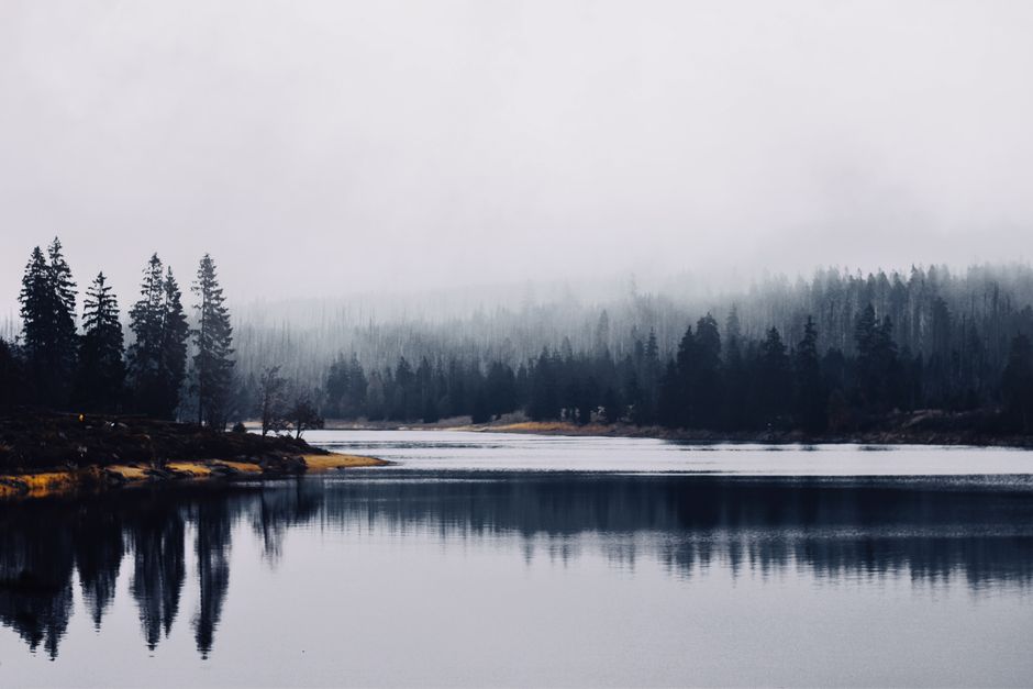 Serene image of a misty lake reflecting a fog-covered forest, creating a tranquil natural scene.