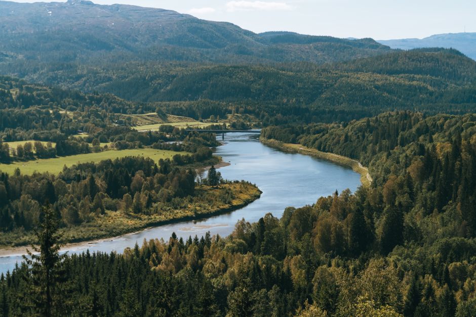 From above of calm river with coniferous woods on banks against green mountains.