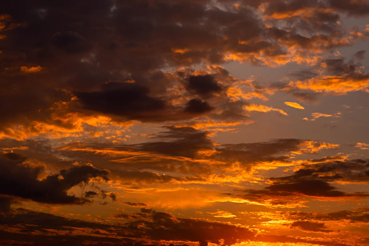 Trauma-Informed Care in Addiction Treatment